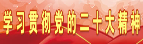黨的二十大